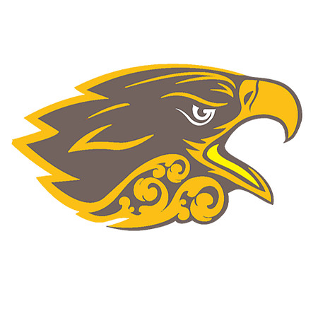 HAWK PNG