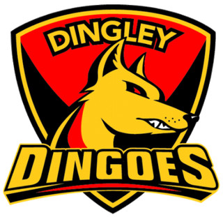 Dingley_fc_logo