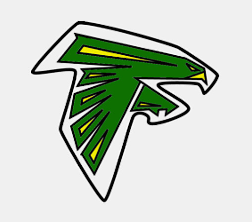Falcons Logo