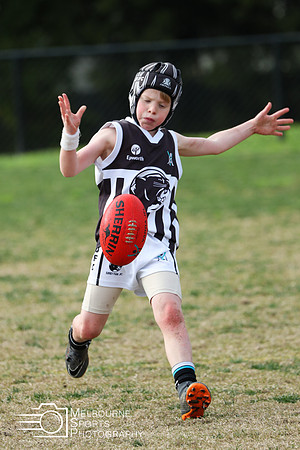 MelbourneSportsPhotography-5065